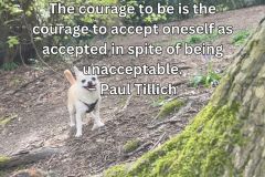 When we were children, we used to think that when we were grown-up we would no longer be vulnerable. But to grow up is to accept vulnerability. – Madeleine L'Engle - 5