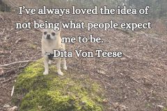 I’ve always loved the idea of not being what people expect me to be. – Dita Von Teese - 1