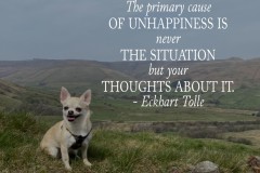 The primary cause of unhappiness...