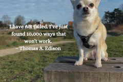 I have not failed. I’ve just found 10,000 ways that won’r work