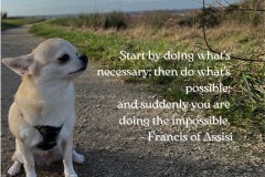 Start by doing what’s necessary...