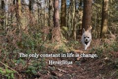 The only constant in life is change. - Heraclitus - 1