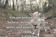 You are braver than you believe, stronger than you seem, and smarter than you think." - A.A. Milne - 1